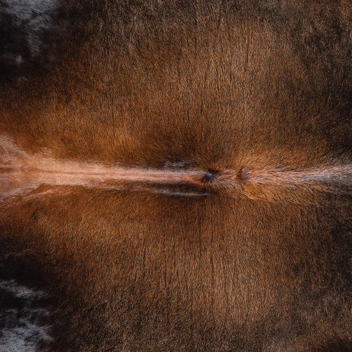 Brazilian Mahogany Cowhide Rug Size 6'9" L x 6'1" W 4614