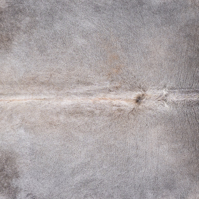 Brazilian Grey Cowhide Rug Size 7'8" L x 7'2" W 4832