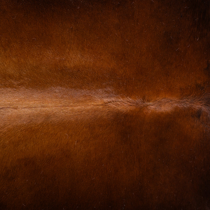 Brown and White Cowhide Rug Size 6'6" L x 6'6" W 4012