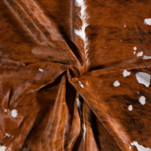 Vintage Brindle White Belly and Backbone Cowhide Rug Size 7'1" L x 6'4" W 5538