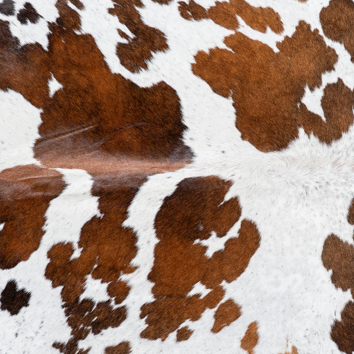 Brazilian Chocolate and White Cowhide Rug Size 6'10" L x 6'1" W 5138