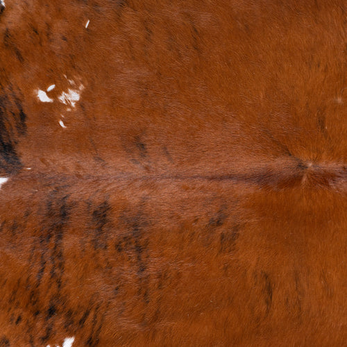 Vintage Brindle White Belly Cowhide Rug Size 7'0" L x 6'1" W 4328