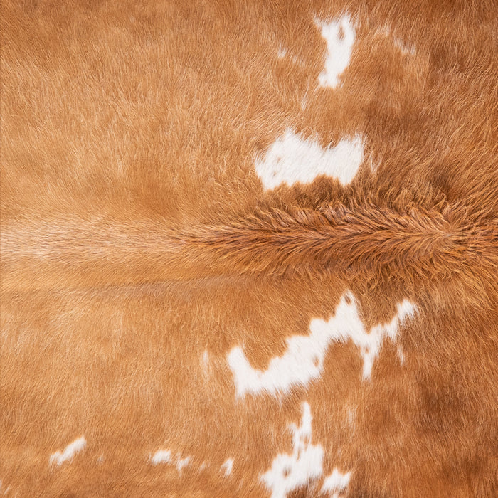 Brazilian Palomino and White Cowhide Rug Size 6'5" L x 5'9" W 4850