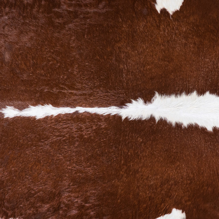Brazilian Brown and White Cowhide Rug Size 7'7" L x 7'3" W 4550