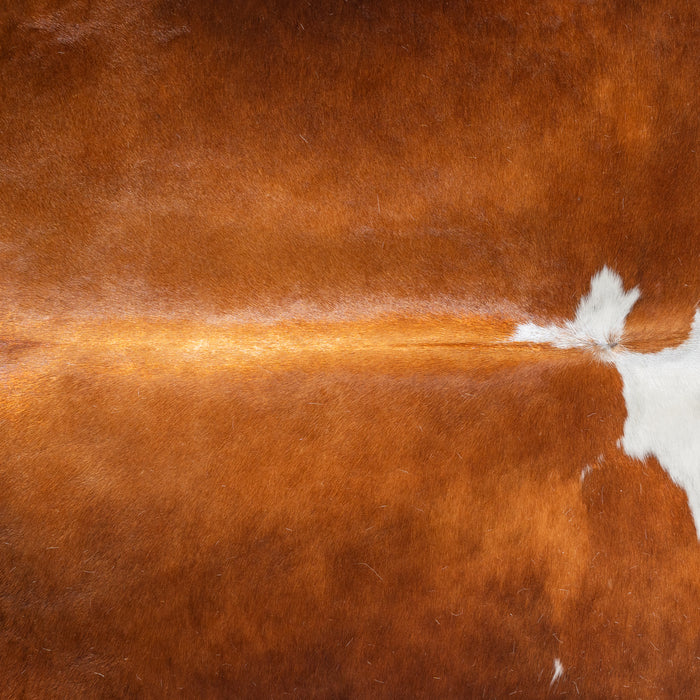 Brown and White Cowhide Rug Size 7'11" L x 6'9" W 6428