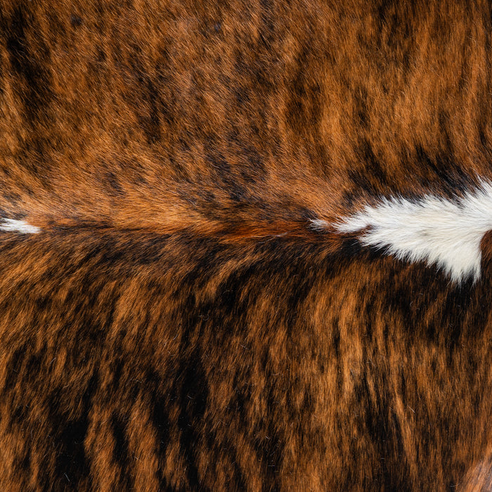 Brindle White Belly and Backbone Cowhide Rug Size 8'5" L x 7'7" W 5031