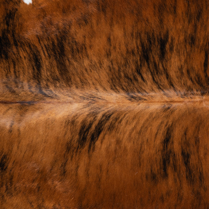 Brindle White Belly Cowhide Rug Size 7'7" L x 7'8" W 6241