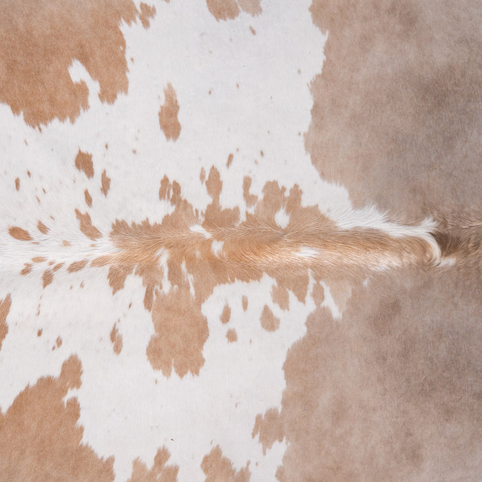 Brazilian Palomino and White Cowhide Rug Size 7'9" L x 6'11" W 3453