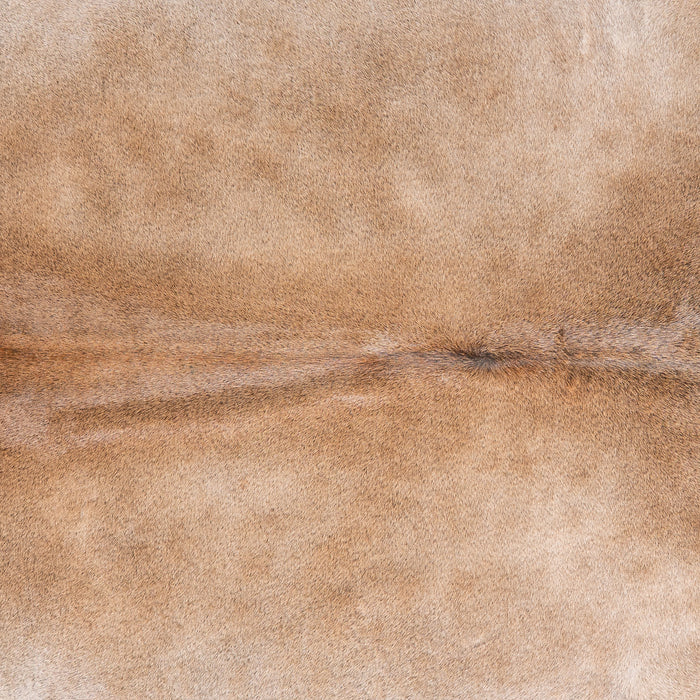 Brazilian Grey Palomino Cowhide Rug Size 7'7" L x 7'4" W 4888