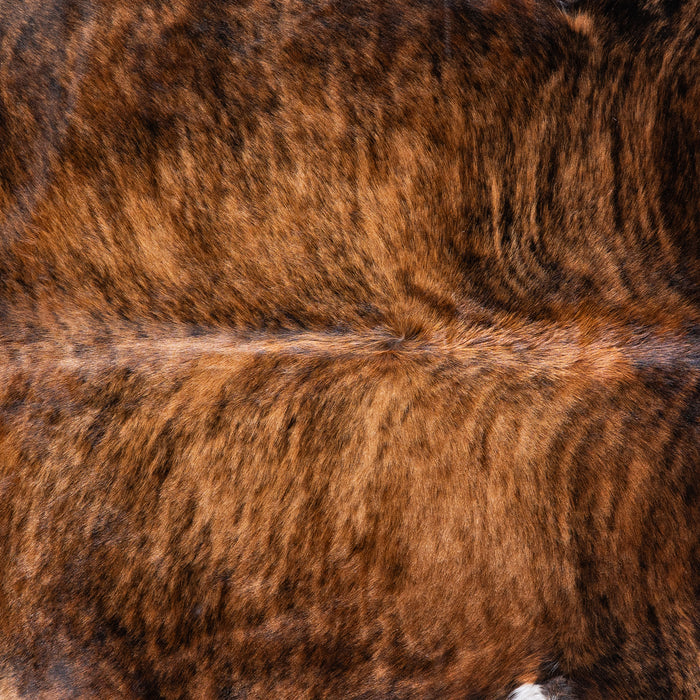 Brazilian Brindle White Belly Cowhide Rug Size 7'7" L x 6'9" W 5692