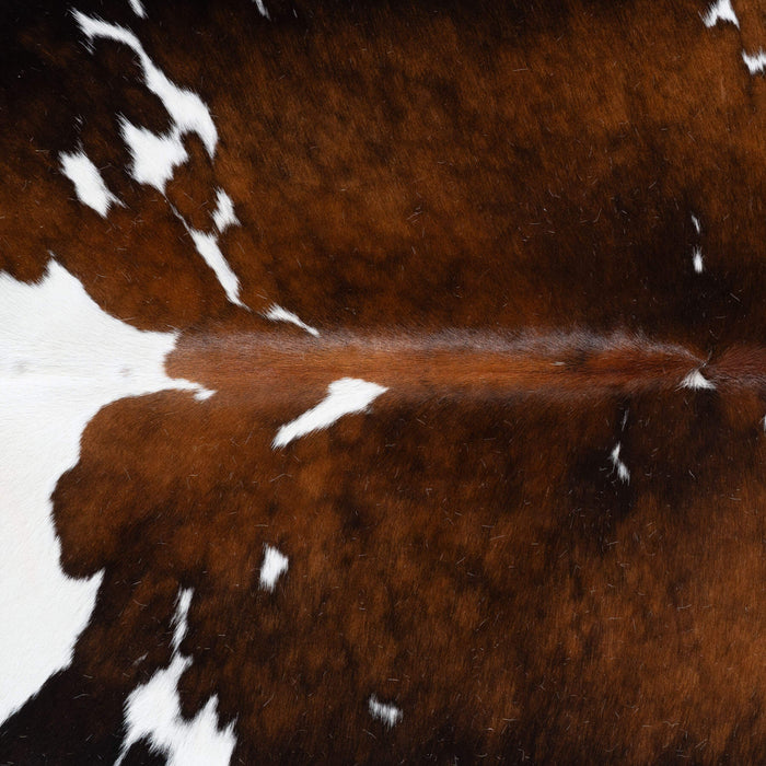 Chocolate and White Cowhide Rug Size 7'0" L x 8'2" W 6447