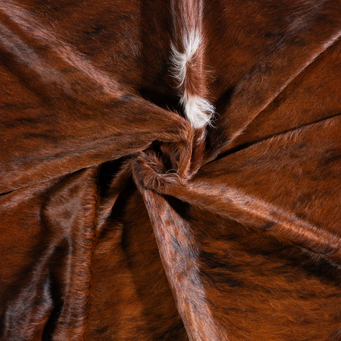 Brazilian Brindle White Belly Cowhide Rug Size 7'6" L x 6'0" W 5699