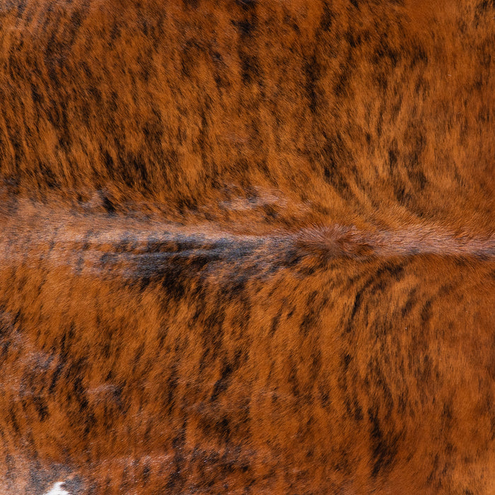 Brazilian Brindle White Belly Cowhide Rug Size 7'6" L x 6'7" W 5703