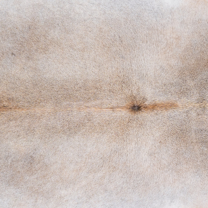 Brazilian Grey Palomino Cowhide Rug Size 7'8" L x 6'9" W 4905