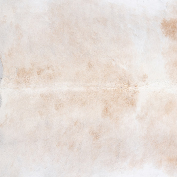 Brazilian Palomino and White Cowhide Rug Size 7'10" L x 7'7" W 4591