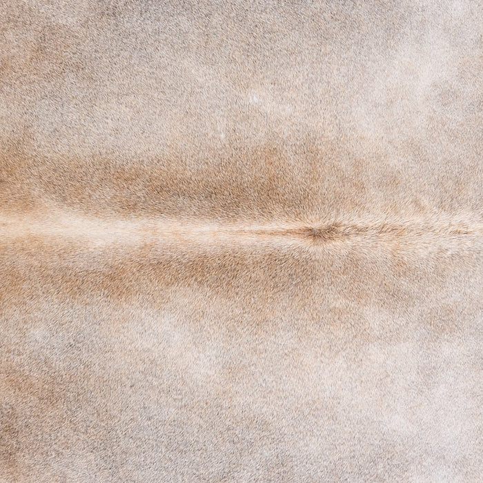 Brazilian Grey Palomino Cowhide Rug Size 7'5" L x 6'8" W 4909