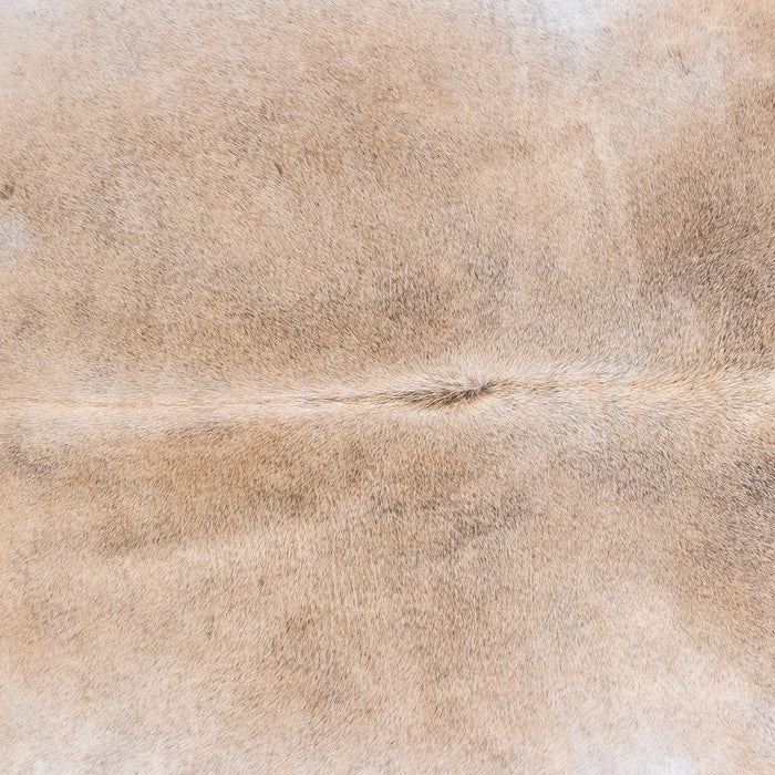 Brazilian Grey Palomino Cowhide Rug Size 7'1" L x 7'0" W 4910