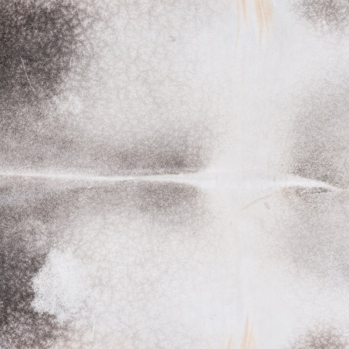 Brazilian Grey Palomino Cowhide Rug Size 7'6" L x 6'3" W 4597