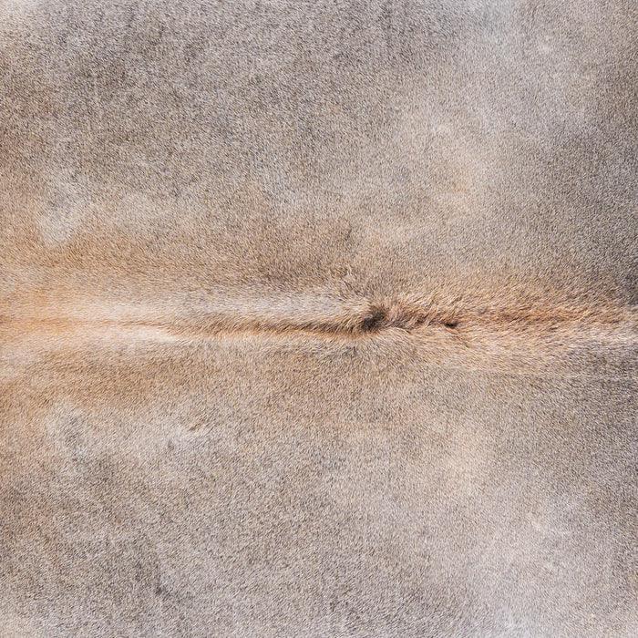 Brazilian Grey Palomino Cowhide Rug Size 7'9" L x 7'4" W 4924