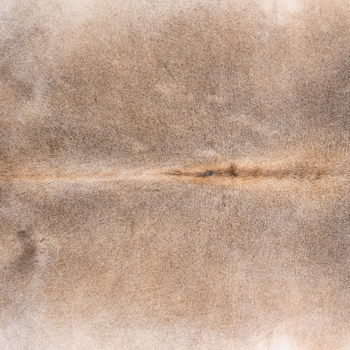 Brazilian Grey Palomino Cowhide Rug Size 8'2" L x 7'6" W 4926