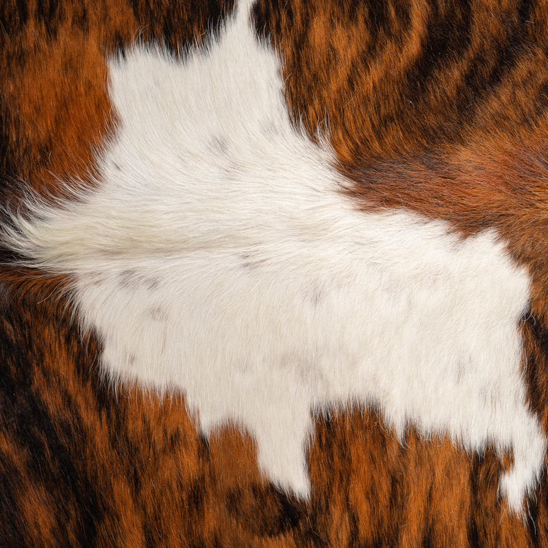 Tricolor Cowhide Rug Size 6'8'' L X 5'8'' W 4943 , Stain Resistant Fur | eCowhides