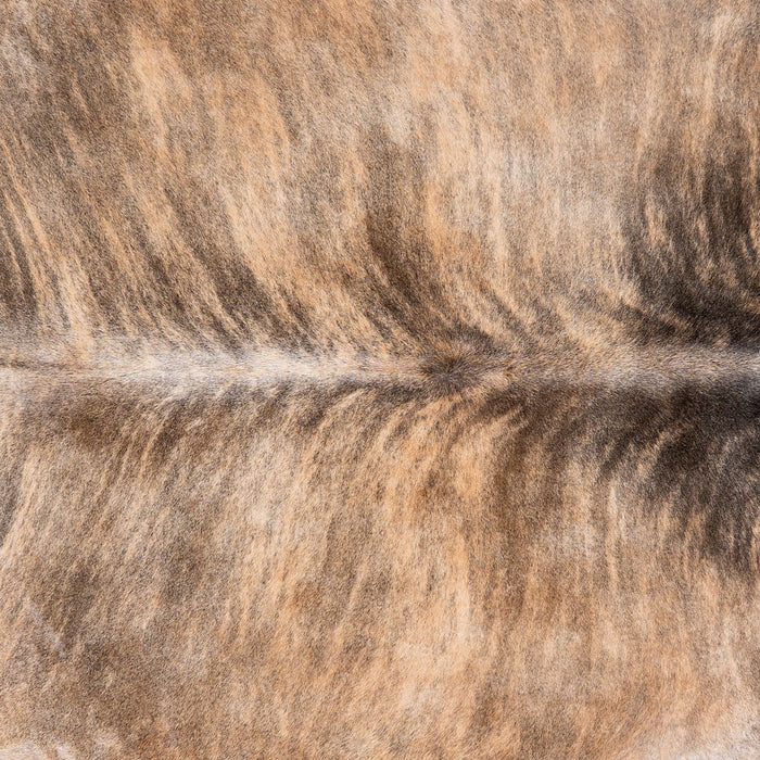 Brazilian Light Brindle Cowhide Rug Size 8'3" L x 7'5" W 4742