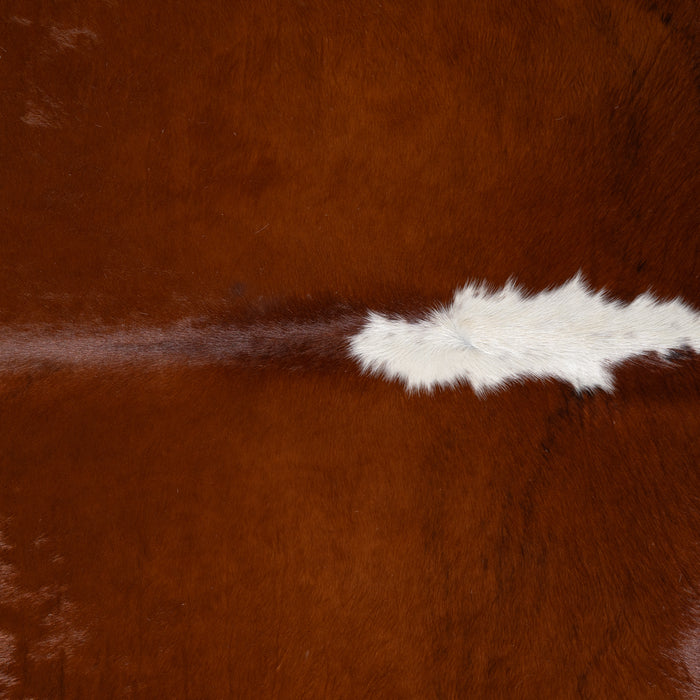 Brazilian Hereford Cowhide Rug Size 7'8" L x 7'4" W 3694