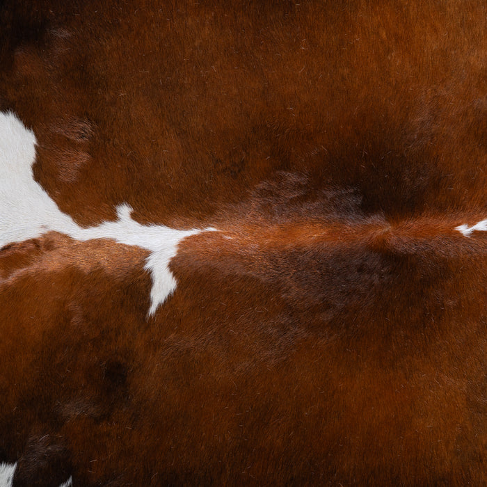 Chocolate and White Cowhide Rug Size 8'6" L x 7'4" W 6290