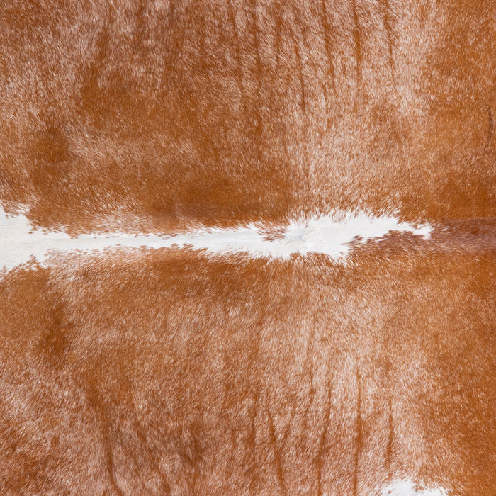 Brazilian Brown and White Cowhide Rug Size 7'5" L x 6'0" W 5784