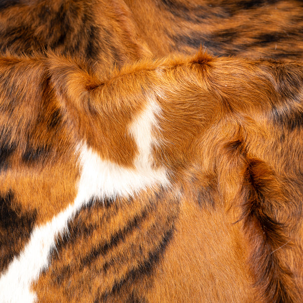 Tricolor Cowhide Rug Size 7'3'' L X 5'8'' W 4966 , Stain Resistant Fur | eCowhides