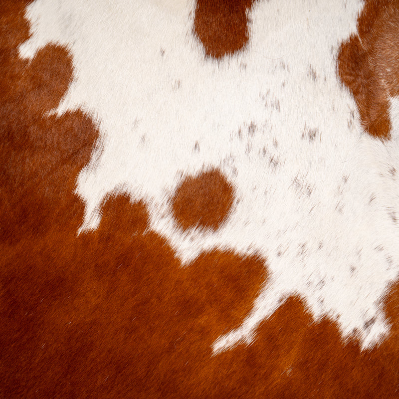 Brown And White Cowhide Rug Size 8'2'' L X 7'6'' W 4971 , Stain Resistant Fur | eCowhides