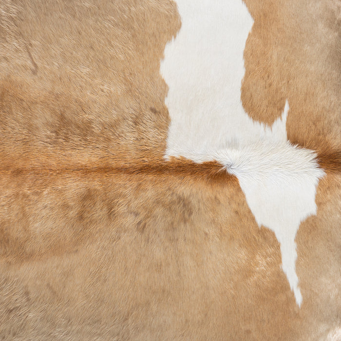 Palomino and White Cowhide Rug Size 7'9" L x 7'4" W 4171