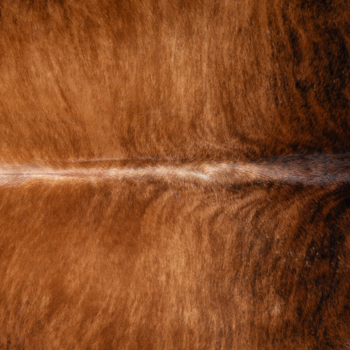 Brazilian Brindle Cowhide Rug Size 8'0" L x 7'4" W 3787