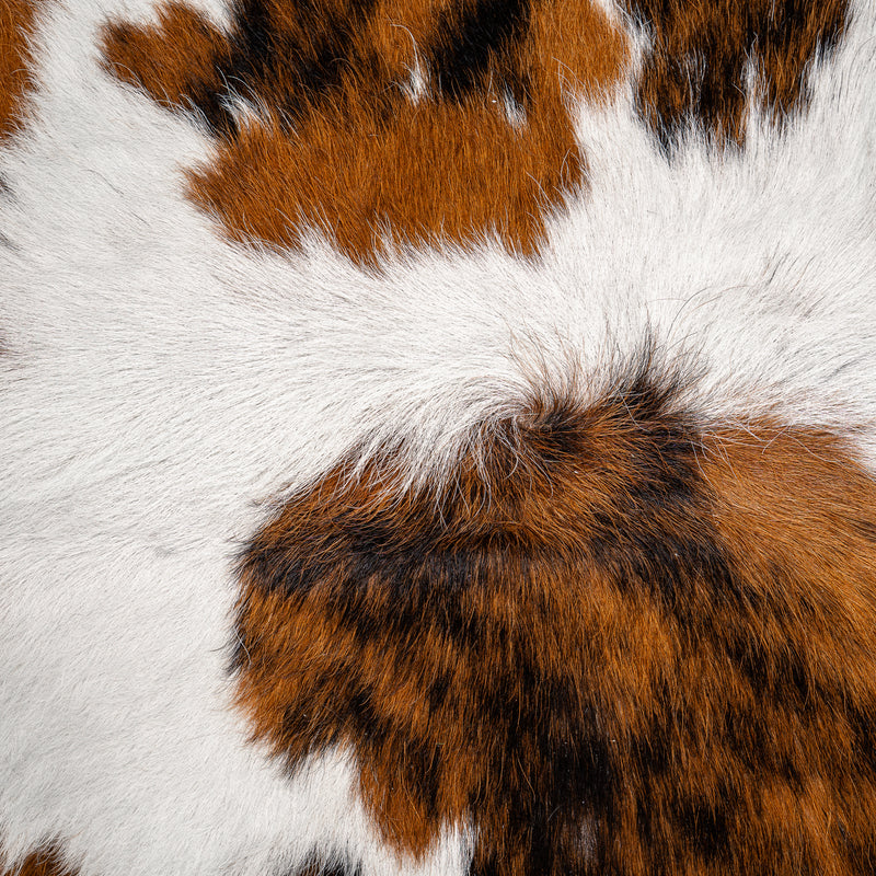 Tricolor Cowhide Rug Size 7'9'' L X 6'8'' W 4997 , Stain Resistant Fur | eCowhides