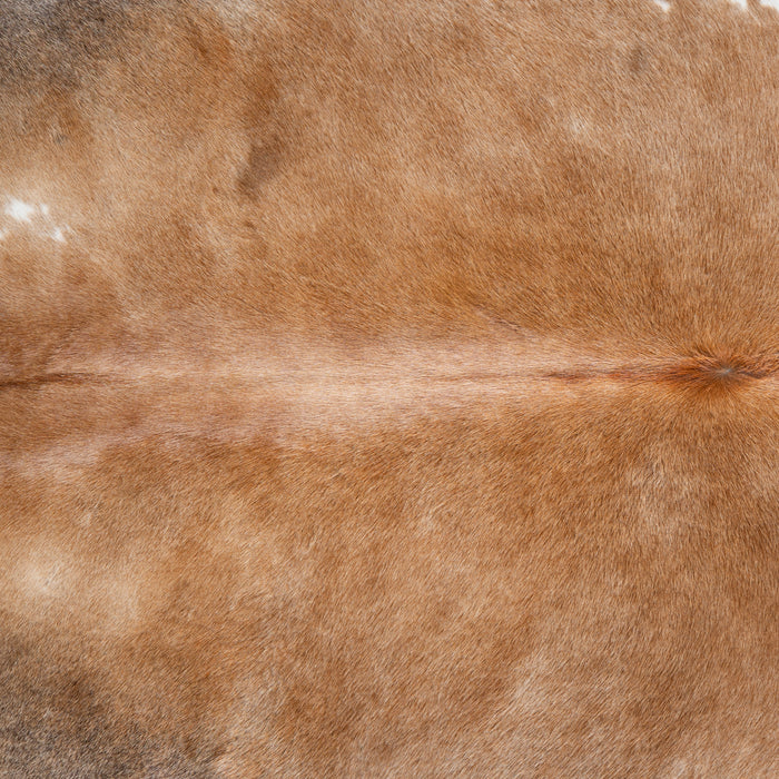 Brazilian Grey Palomino Cowhide Rug Size 7'8" L x 6'1" W 3839