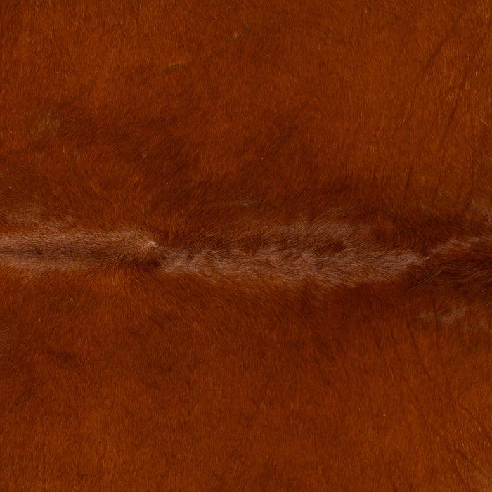 Brazilian Brown Cowhide Rug Size 7'1" L x 7'0" W 9659