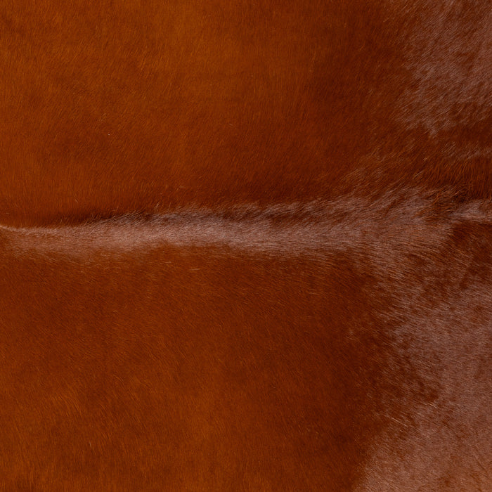 Brazilian Brown Cowhide Rug Size 7'3" L x 7'4" W 9665