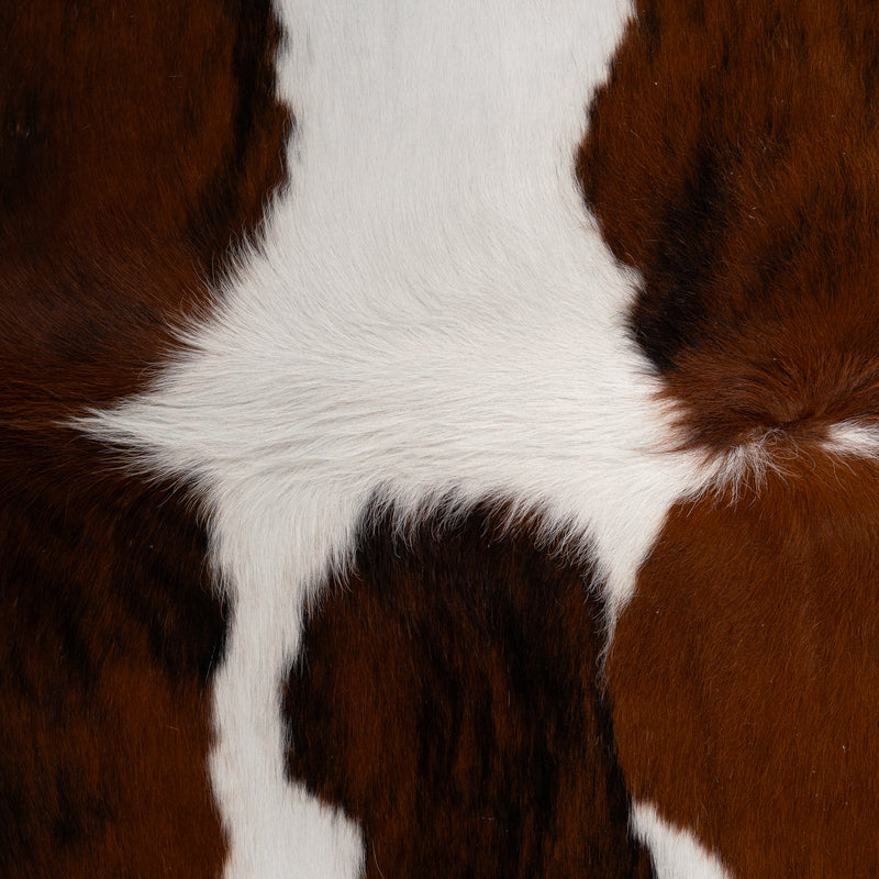 Tricolor Cowhide Rug Size 6'9'' L X 6' W 5066 , Stain Resistant Fur | eCowhides