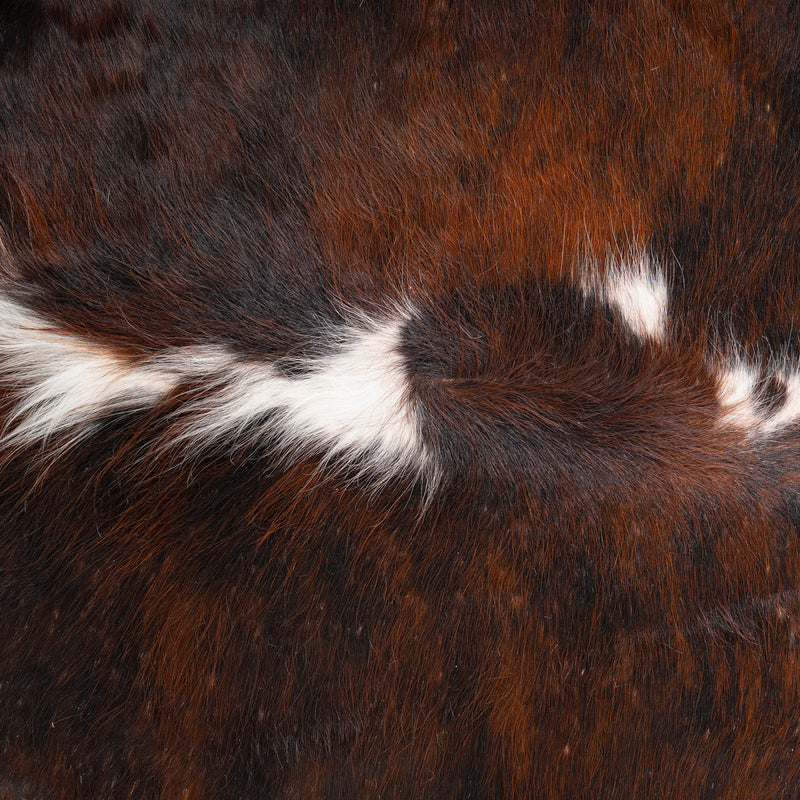 Dark Tricolor Cowhide Rug Size 7'6'' L X 6'4'' W 5097 , Stain Resistant Fur | eCowhides