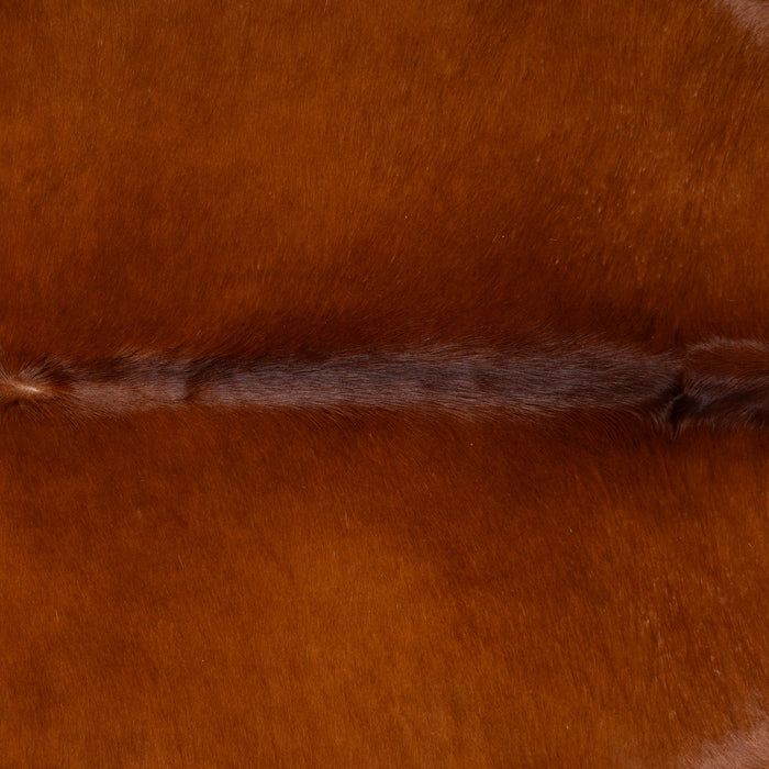 Brazilian Brown Cowhide Rug Size 7'5" L x 6'7" W 0386