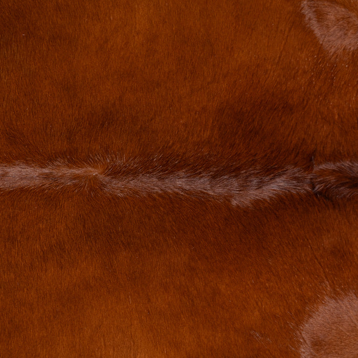 Brazilian Brown Cowhide Rug Size 6'11" L x 6'3" W 0397