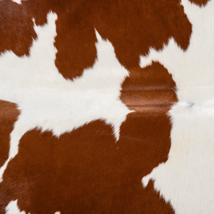 Brazilian Brown and White Cowhide Rug Size 6'4" L x 6'1" W 1715