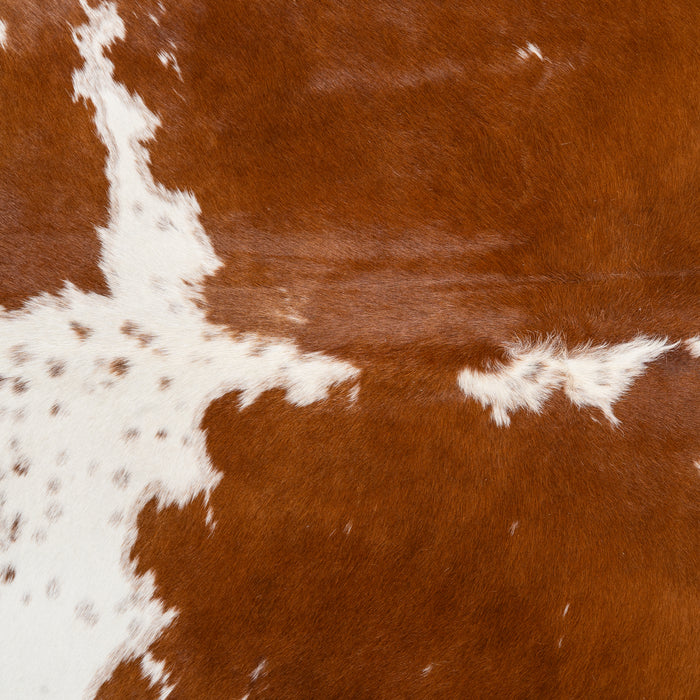 Brazilian Brown and White Cowhide Rug Size 6'6" L x 6'7" W 1717