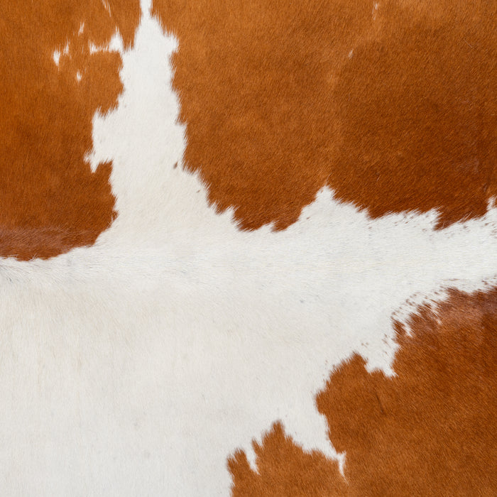 Brazilian Brown and White Cowhide Rug Size 7'5" L x 7'1" W 1725