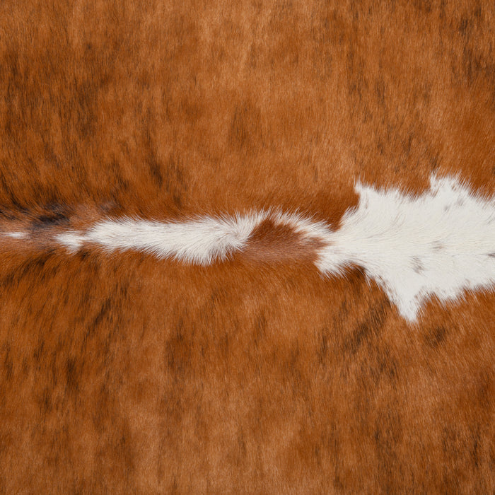 Brazilian Brindle White Belly and Backbone Cowhide Rug Size 6'10" L x 6'10" W 2582