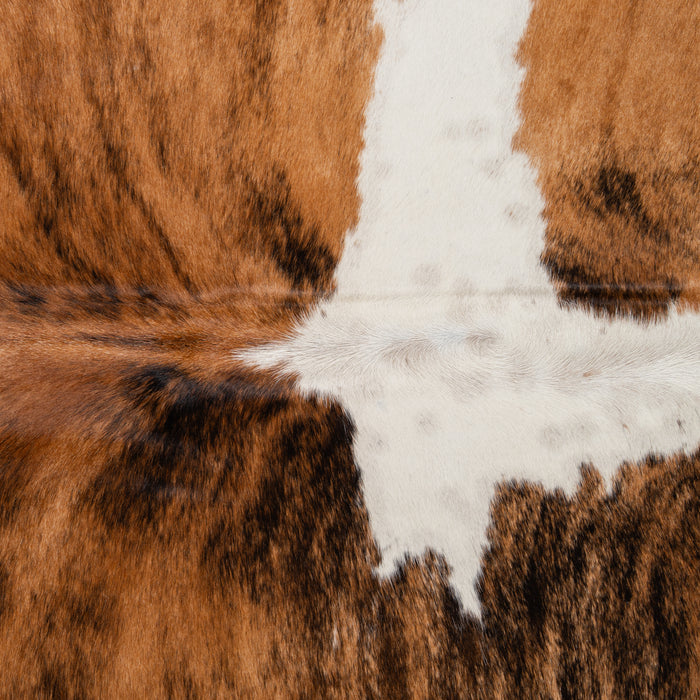 Brazilian Brindle White Belly and Backbone Cowhide Rug Size 7'3" L x 7'1" W 2593