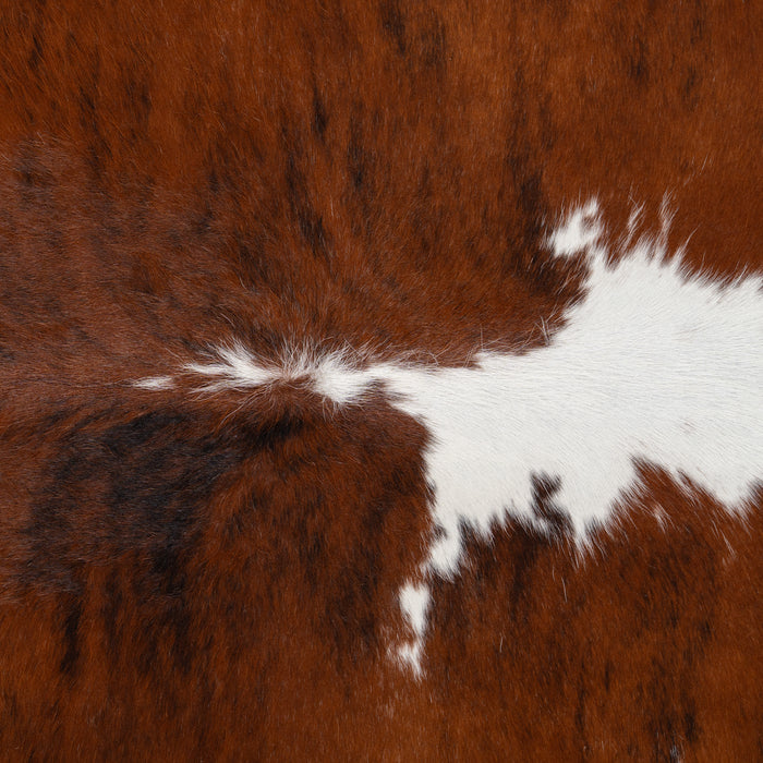 Brazilian Brindle White Belly and Backbone Cowhide Rug Size 6'6" L x 6'5" W 2599