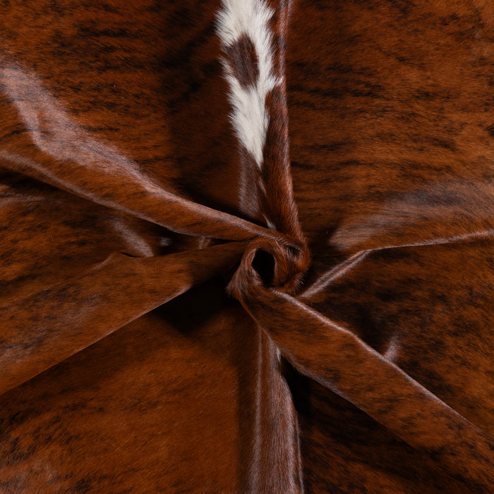 Brazilian Brindle White Belly and Backbone Cowhide Rug Size 7'0" L x 6'5" W 3329