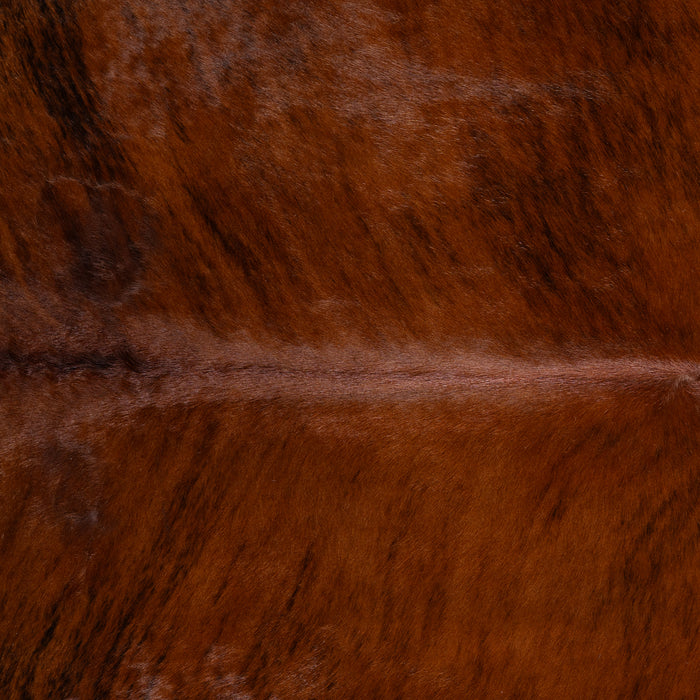 Brazilian Brindle White Belly Cowhide Rug Size 7'6" L x 7'1" W 3344