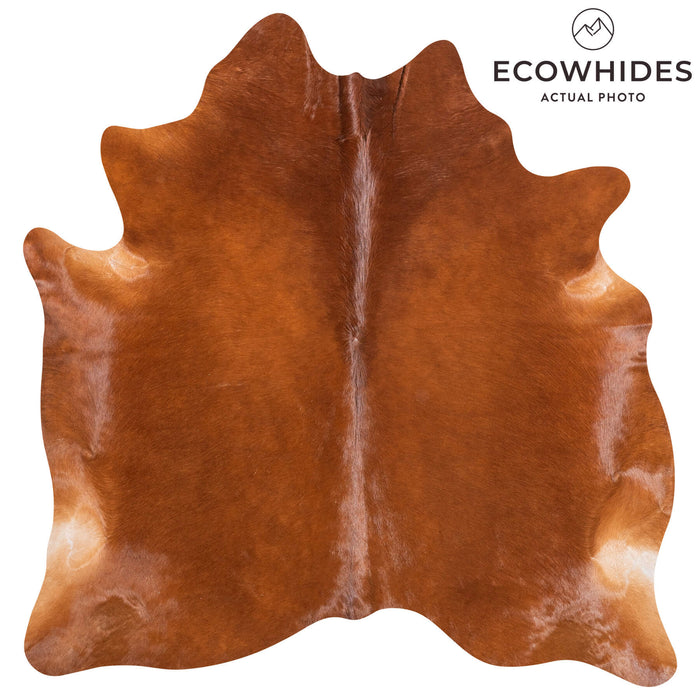 Brazilian Brown Cowhide Rug Size 5'10" L x 5'8" W 9015